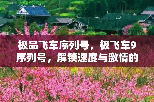 极品飞车序列号,极飞车9序列号,解锁速度与激情的钥匙 极品飞车序列号,极飞车9序列号,解锁速度与激情的钥匙