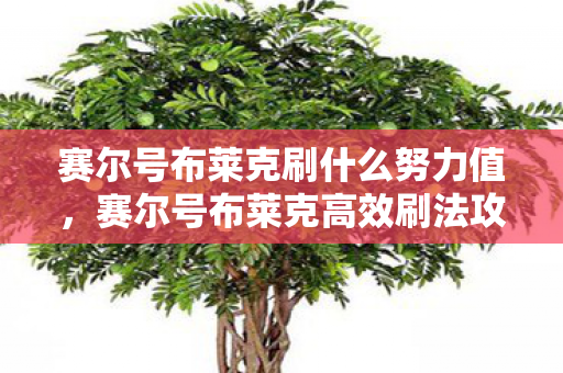 赛尔号布莱克刷什么努力值,赛尔号布莱克高效刷法攻略 赛尔号布莱克刷什么努力值,赛尔号布莱克高效刷法攻略