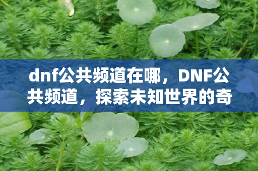 dnf公共频道在哪,DNF公共频道,探索未知世界的奇妙之旅 dnf公共频道在哪,DNF公共频道,探索未知世界的奇妙之旅