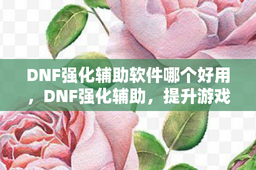 DNF强化辅助软件哪个好用，DNF强化辅助，提升游戏效率，安全合法是关键