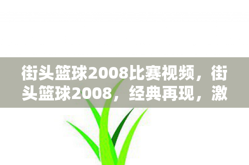 街头篮球2008比赛视频,街头篮球2008,经典再现,激情燃烧的岁月 街头篮球2008比赛视频,街头篮球2008,经典再现,激情燃烧的岁月