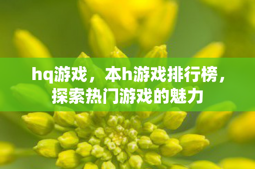 hq游戏,本h游戏排行榜,探索热门游戏的魅力 hq游戏,本h游戏排行榜,探索热门游戏的魅力