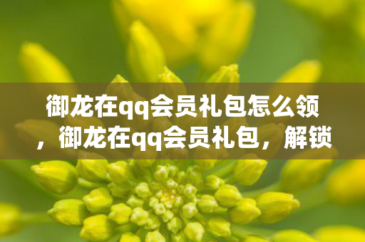 御龙在qq会员礼包怎么领,御龙在qq会员礼包,解锁专属福利,畅享游戏新体验 御龙在qq会员礼包怎么领,御龙在qq会员礼包,解锁专属福利,畅享游戏新体验