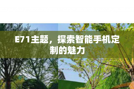 E71主题，探索智能手机定制的魅力