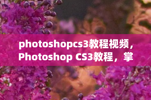 photoshopcs3教程视频,Photoshop CS3教程,掌握经典工具,重塑图像艺术 photoshopcs3教程视频,Photoshop CS3教程,掌握经典工具,重塑图像艺术