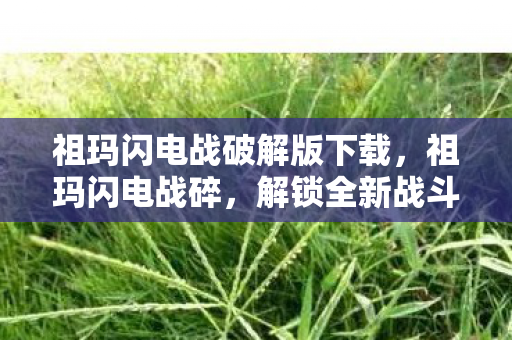 祖玛闪电战破解版下载,祖玛闪电战碎,解锁全新战斗体验 祖玛闪电战破解版下载,祖玛闪电战碎,解锁全新战斗体验