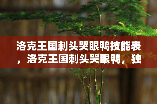 洛克王国刺头哭眼鸭技能表,洛克王国刺头哭眼鸭,独特魅力与战斗技巧解析 洛克王国刺头哭眼鸭技能表,洛克王国刺头哭眼鸭,独特魅力与战斗技巧解析