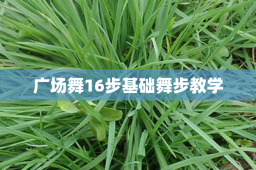 广场舞16步基础舞步教学 广场舞16步基础舞步教学