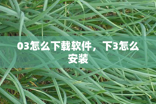 03怎么下载软件,下3怎么安装 03怎么下载软件,下3怎么安装