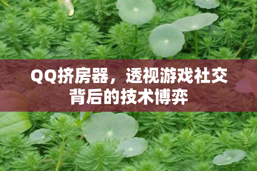 QQ挤房器,透视游戏社交背后的技术博弈 QQ挤房器,透视游戏社交背后的技术博弈