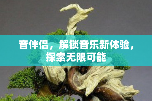 音伴侣,解锁音乐新体验,探索无限可能 音伴侣,解锁音乐新体验,探索无限可能