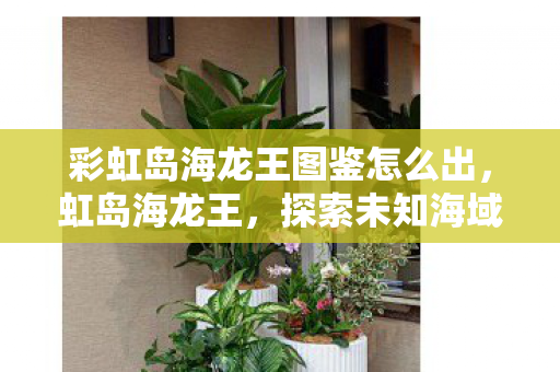 彩虹岛海龙王图鉴怎么出,虹岛海龙王,探索未知海域的奇幻之旅 彩虹岛海龙王图鉴怎么出,虹岛海龙王,探索未知海域的奇幻之旅
