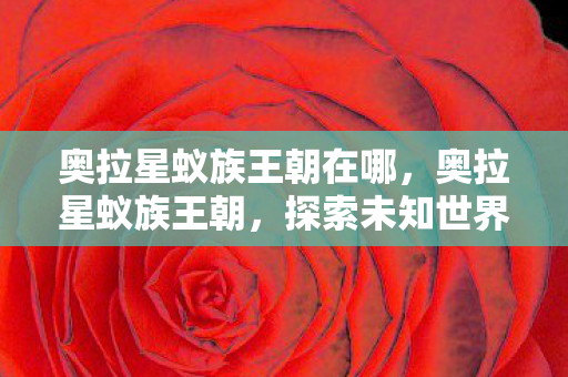奥拉星蚁族王朝在哪，奥拉星蚁族王朝，探索未知世界的奇妙旅程