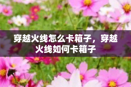 穿越火线怎么卡箱子,穿越火线如何卡箱子 穿越火线怎么卡箱子,穿越火线如何卡箱子