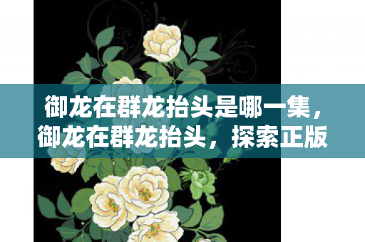 御龙在群龙抬头是哪一集,御龙在群龙抬头,探索正版游戏的魅力与未来 御龙在群龙抬头是哪一集,御龙在群龙抬头,探索正版游戏的魅力与未来