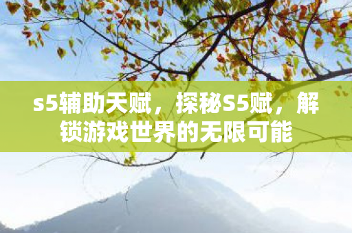 s5辅助天赋，探秘S5赋，解锁游戏世界的无限可能