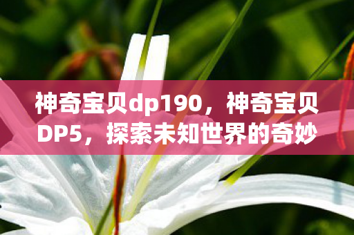 神奇宝贝dp190,神奇宝贝DP5,探索未知世界的奇妙旅程 神奇宝贝dp190,神奇宝贝DP5,探索未知世界的奇妙旅程