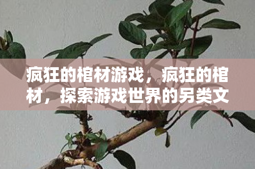 疯狂的棺材游戏,疯狂的棺材,探索游戏世界的另类文化 疯狂的棺材游戏,疯狂的棺材,探索游戏世界的另类文化
