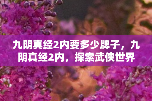 九阴真经2内要多少牌子,九阴真经2内,探索武侠世界的深度与广度 九阴真经2内要多少牌子,九阴真经2内,探索武侠世界的深度与广度