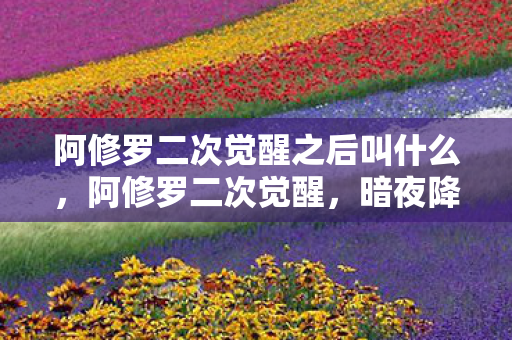 阿修罗二次觉醒之后叫什么,阿修罗二次觉醒,暗夜降临,修罗重生 阿修罗二次觉醒之后叫什么,阿修罗二次觉醒,暗夜降临,修罗重生