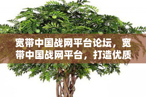 宽带中国战网平台论坛，宽带中国战网平台，打造优质游戏体验的基石