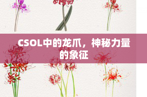 CSOL中的龙爪,神秘力量的象征 CSOL中的龙爪,神秘力量的象征