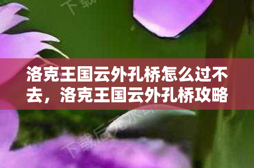 洛克王国云外孔桥怎么过不去,洛克王国云外孔桥攻略 洛克王国云外孔桥怎么过不去,洛克王国云外孔桥攻略