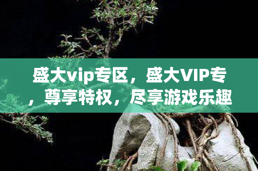 盛大vip专区，盛大VIP专，尊享特权，尽享游戏乐趣