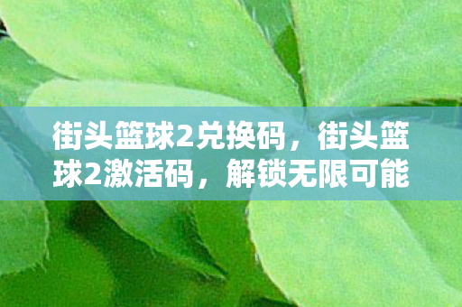 街头篮球2兑换码，街头篮球2激活码，解锁无限可能的运动激情