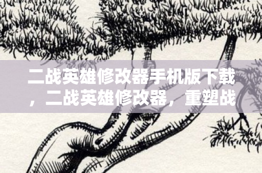二战英雄修改器手机版下载，二战英雄修改器，重塑战场的神秘工具
