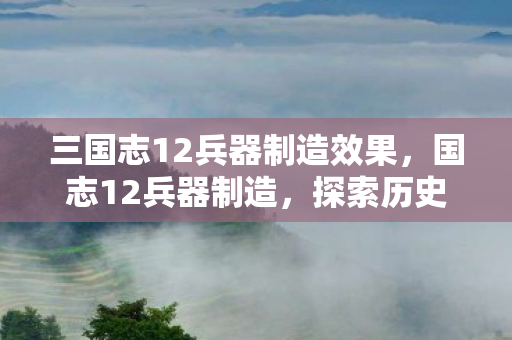 三国志12兵器制造效果,国志12兵器制造,探索历史与文化的兵器艺术 三国志12兵器制造效果,国志12兵器制造,探索历史与文化的兵器艺术