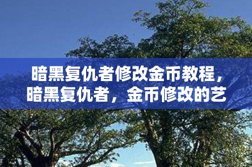 暗黑复仇者修改金币教程,暗黑复仇者,金币修改的艺术与风险 暗黑复仇者修改金币教程,暗黑复仇者,金币修改的艺术与风险
