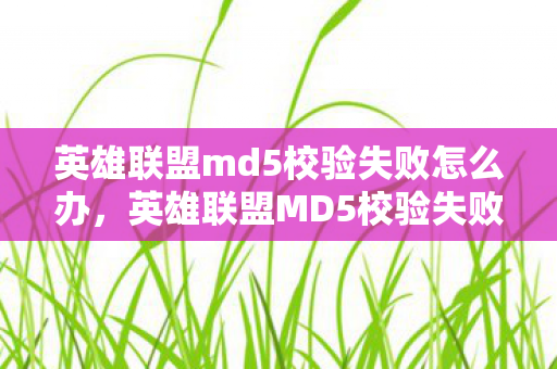 英雄联盟md5校验失败怎么办,英雄联盟MD5校验失败,保障游戏安全,维护正版体验 英雄联盟md5校验失败怎么办,英雄联盟MD5校验失败,保障游戏安全,维护正版体验