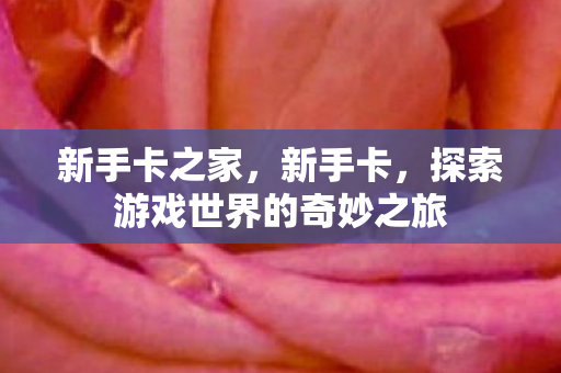 新手卡之家,新手卡,探索游戏世界的奇妙之旅 新手卡之家,新手卡,探索游戏世界的奇妙之旅