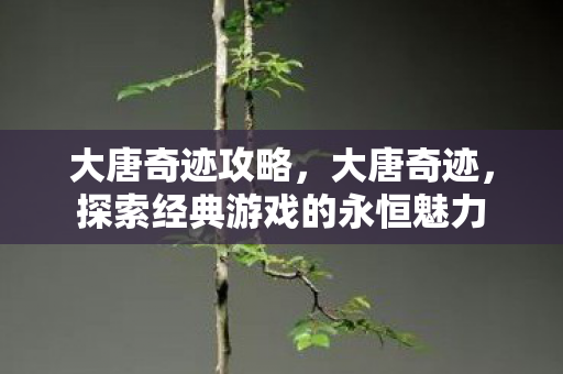 大唐奇迹攻略,大唐奇迹,探索经典游戏的永恒魅力 大唐奇迹攻略,大唐奇迹,探索经典游戏的永恒魅力