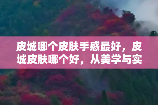 皮城哪个皮肤手感最好,皮城皮肤哪个好,从美学与实用性角度探讨 皮城哪个皮肤手感最好,皮城皮肤哪个好,从美学与实用性角度探讨