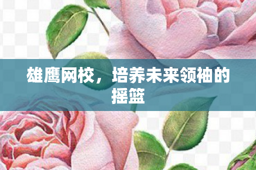 雄鹰网校,培养未来领袖的摇篮 雄鹰网校,培养未来领袖的摇篮