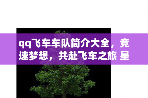 qq飞车车队简介大全,竞速梦想,共赴飞车之旅 星辰速影车队简介 qq飞车车队简介大全,竞速梦想,共赴飞车之旅 星辰速影车队简介