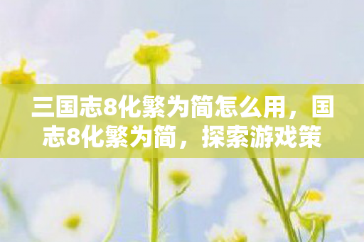 三国志8化繁为简怎么用,国志8化繁为简,探索游戏策略与智慧的深度解析 三国志8化繁为简怎么用,国志8化繁为简,探索游戏策略与智慧的深度解析
