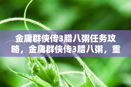 金庸群侠传3腊八粥任务攻略,金庸群侠传3腊八粥,重温经典,品味江湖 金庸群侠传3腊八粥任务攻略,金庸群侠传3腊八粥,重温经典,品味江湖