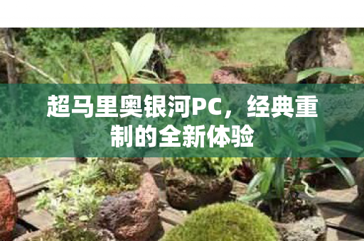 超马里奥银河PC,经典重制的全新体验 超马里奥银河PC,经典重制的全新体验
