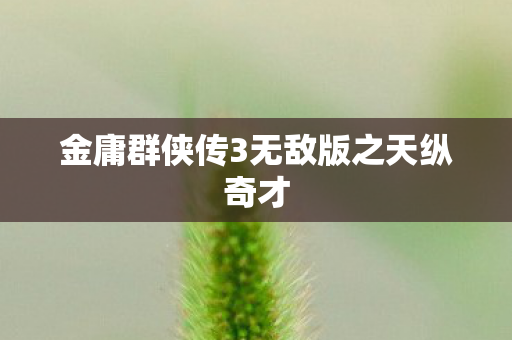 金庸群侠传3无敌版之天纵奇才 金庸群侠传3无敌版之天纵奇才