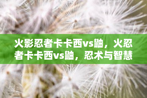 火影忍者卡卡西vs鼬，火忍者卡卡西vs鼬，忍术与智慧的巅峰对决