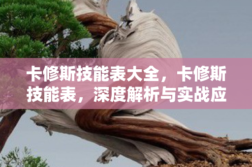 卡修斯技能表大全,卡修斯技能表,深度解析与实战应用 卡修斯技能表大全,卡修斯技能表,深度解析与实战应用