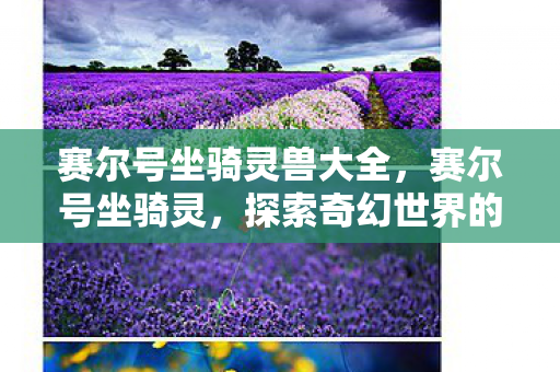 赛尔号坐骑灵兽大全,赛尔号坐骑灵,探索奇幻世界的奇幻之旅 赛尔号坐骑灵兽大全,赛尔号坐骑灵,探索奇幻世界的奇幻之旅