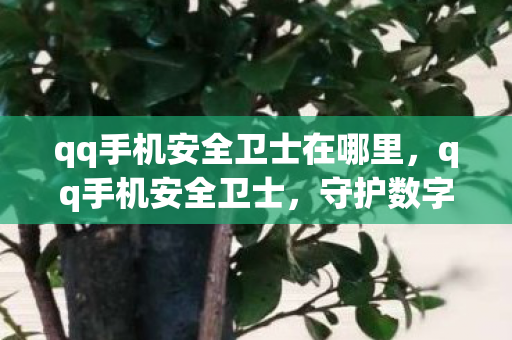 qq手机安全卫士在哪里,qq手机安全卫士,守护数字生活的安全防线 qq手机安全卫士在哪里,qq手机安全卫士,守护数字生活的安全防线