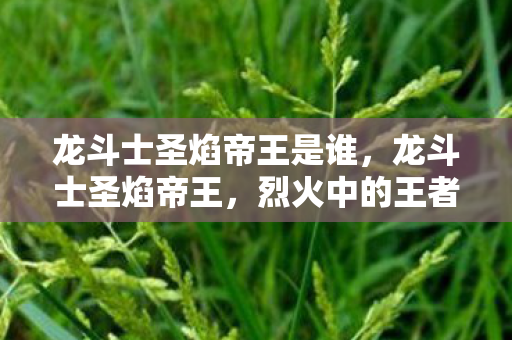 龙斗士圣焰帝王是谁,龙斗士圣焰帝王,烈火中的王者 龙斗士圣焰帝王是谁,龙斗士圣焰帝王,烈火中的王者