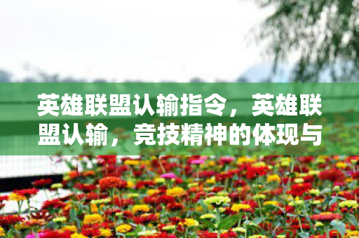 英雄联盟认输指令,英雄联盟认输,竞技精神的体现与成长之路 英雄联盟认输指令,英雄联盟认输,竞技精神的体现与成长之路