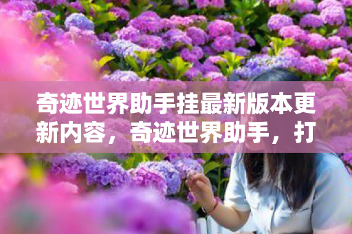 奇迹世界助手挂最新版本更新内容,奇迹世界助手,打造你的专属游戏助手 奇迹世界助手挂最新版本更新内容,奇迹世界助手,打造你的专属游戏助手