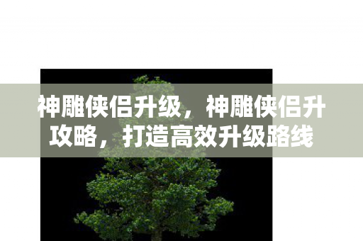 神雕侠侣升级,神雕侠侣升攻略,打造高效升级路线 神雕侠侣升级,神雕侠侣升攻略,打造高效升级路线
